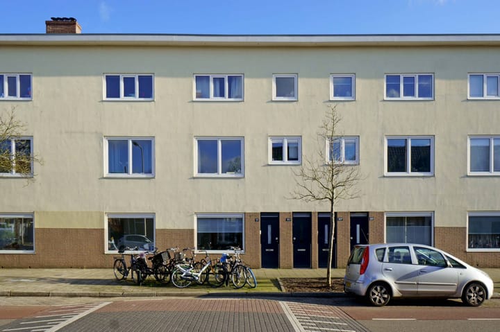 Foto 18 van Laan van Nieuw-Guinea 91