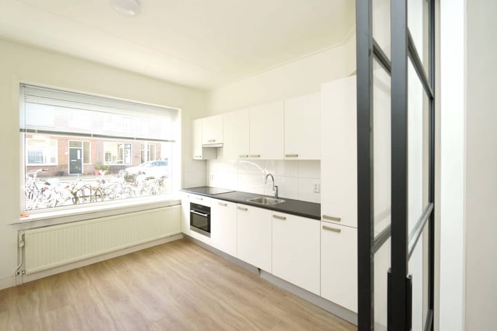 Foto 1 van Laan van Nieuw-Guinea 91