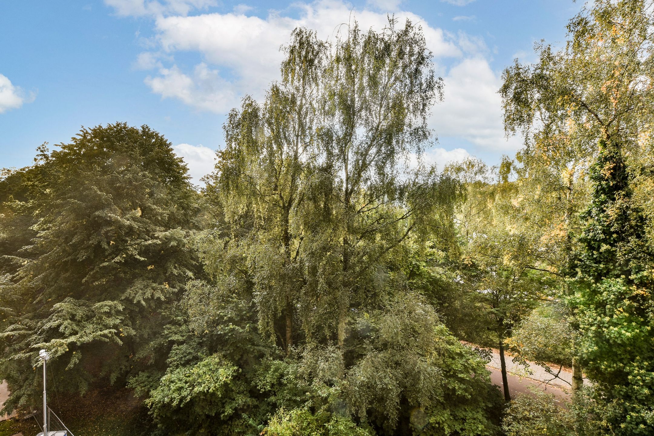 Photo 12 of Leksmondhof 220
