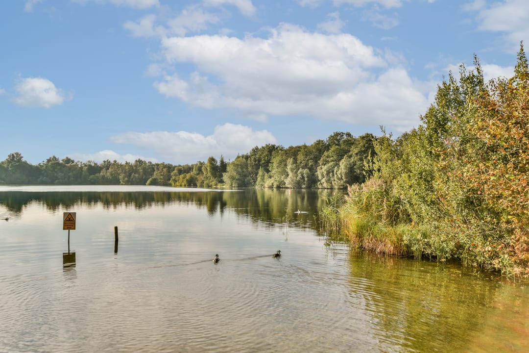 Photo 26 of Leksmondhof 220