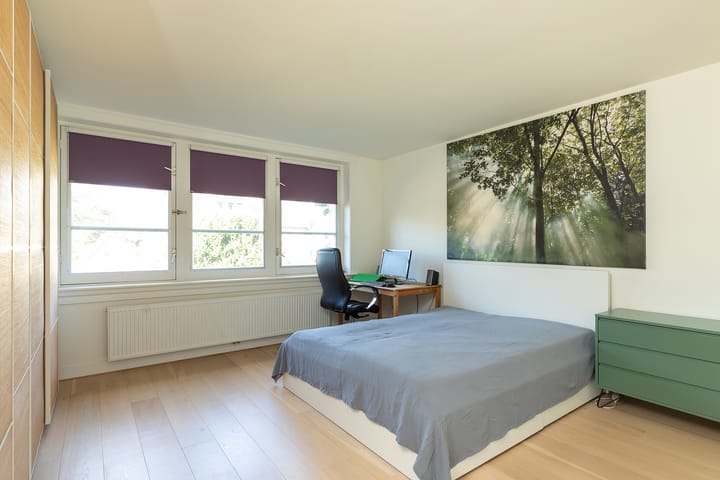 Foto 12 van Dr. P.J.H. Cuypersplein 25