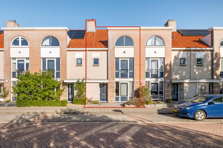 Bacchus 58 main image