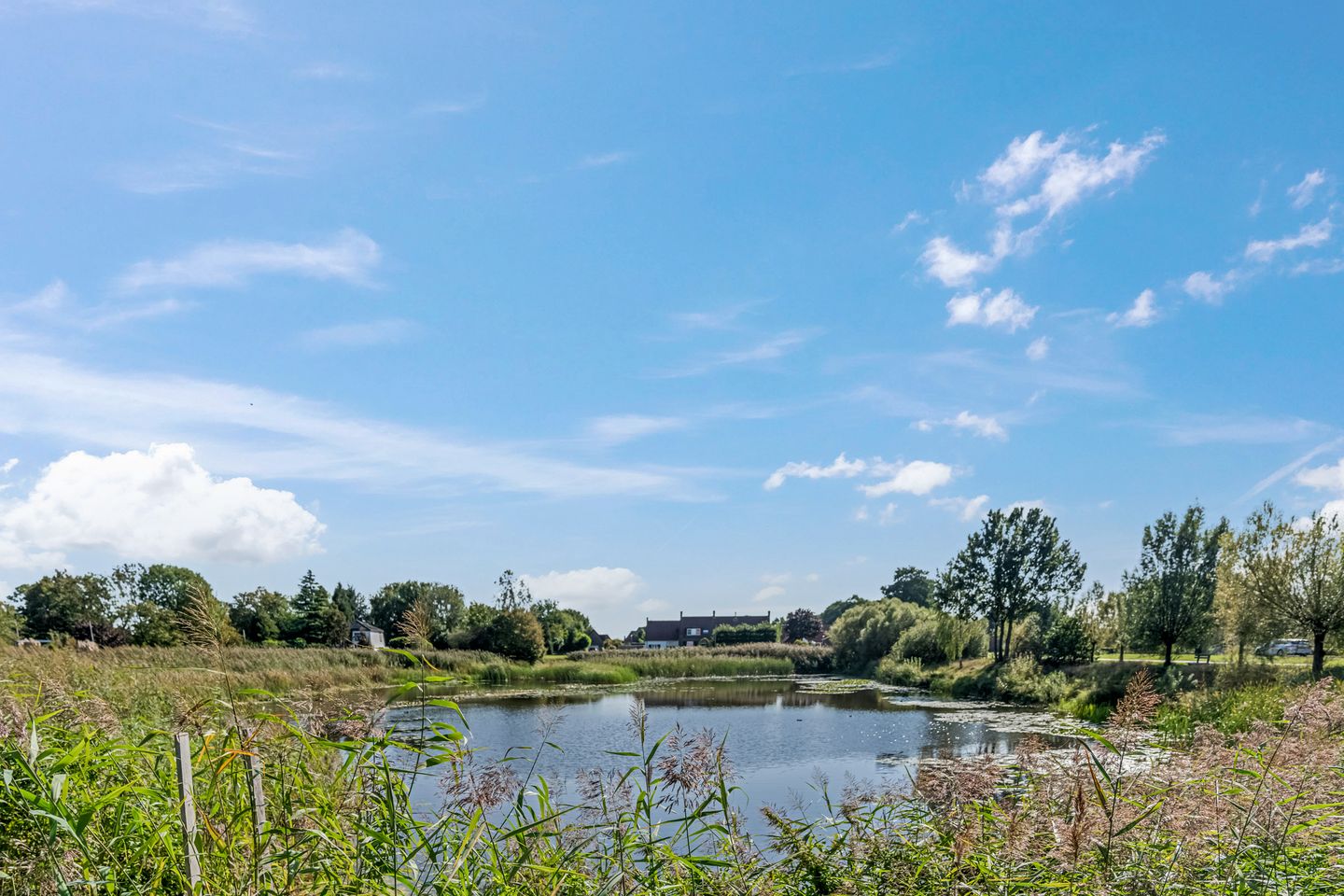 Foto 49 van Hofsteestraat 13