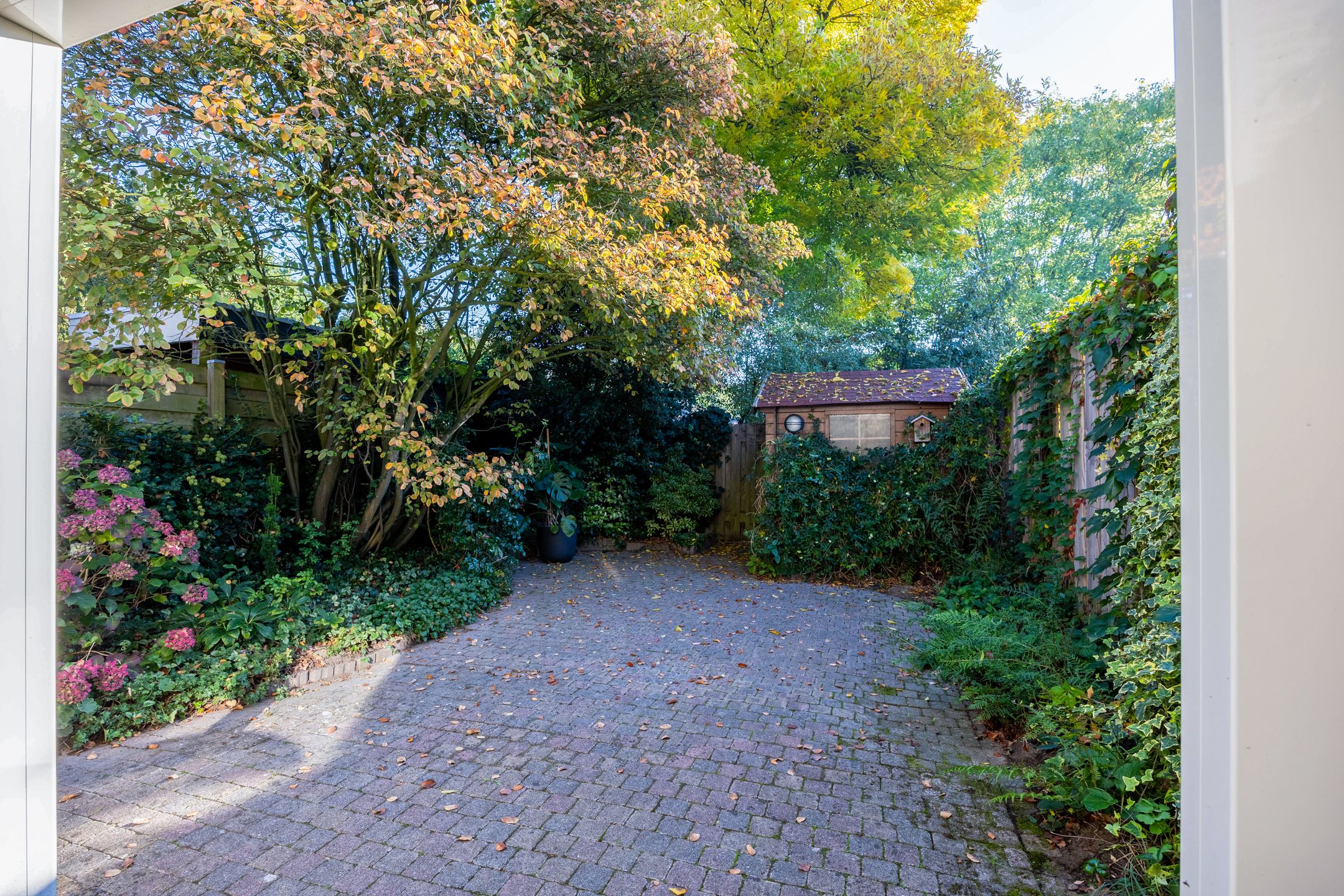 Foto 39 van de Wellenkamp 1132