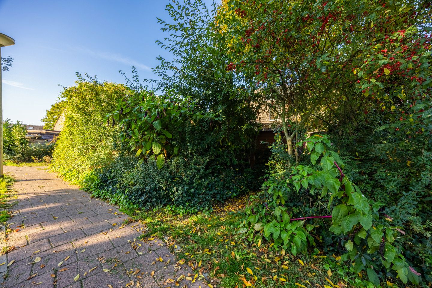 Foto 40 van de Wellenkamp 1132