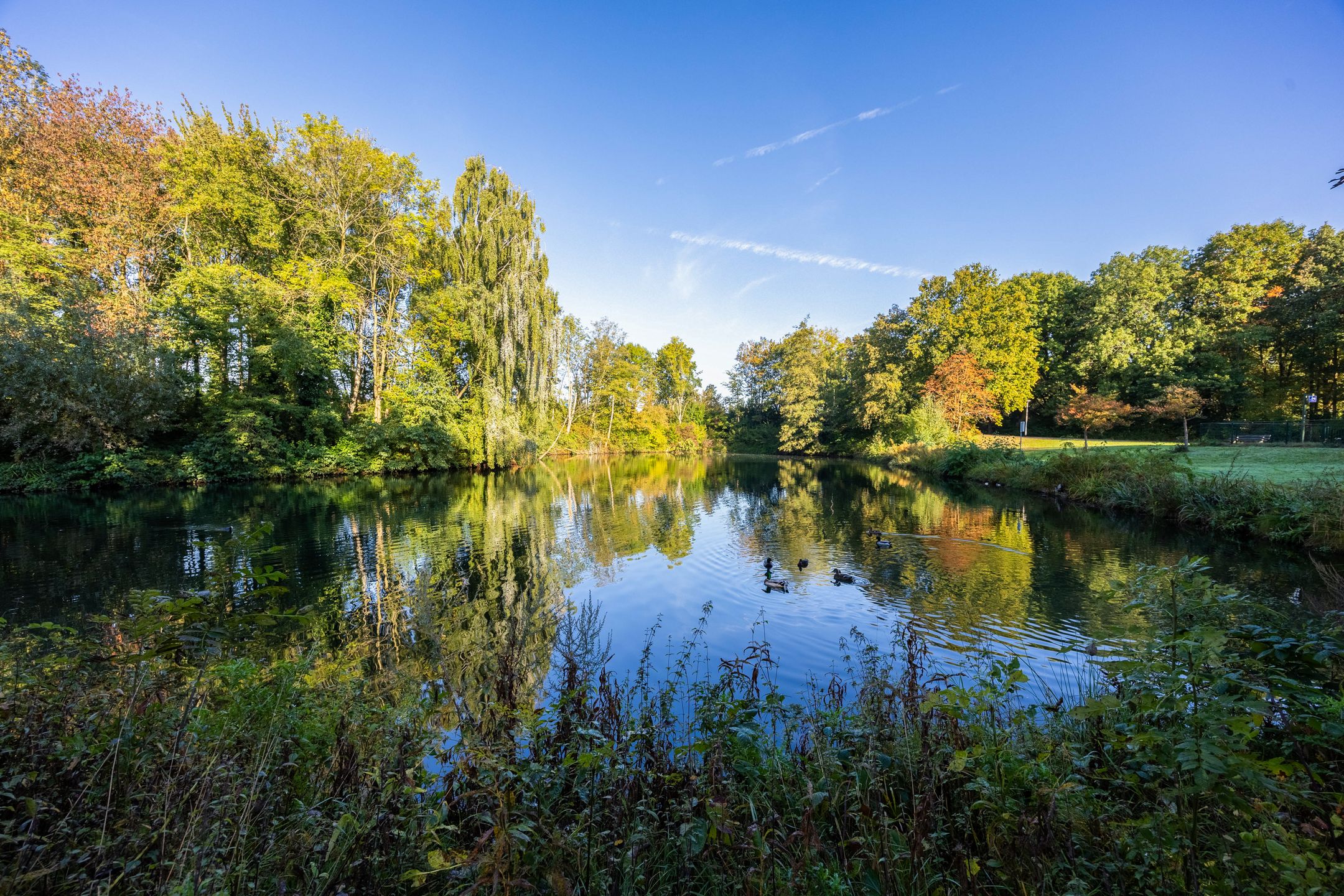 Foto 42 van de Wellenkamp 1132