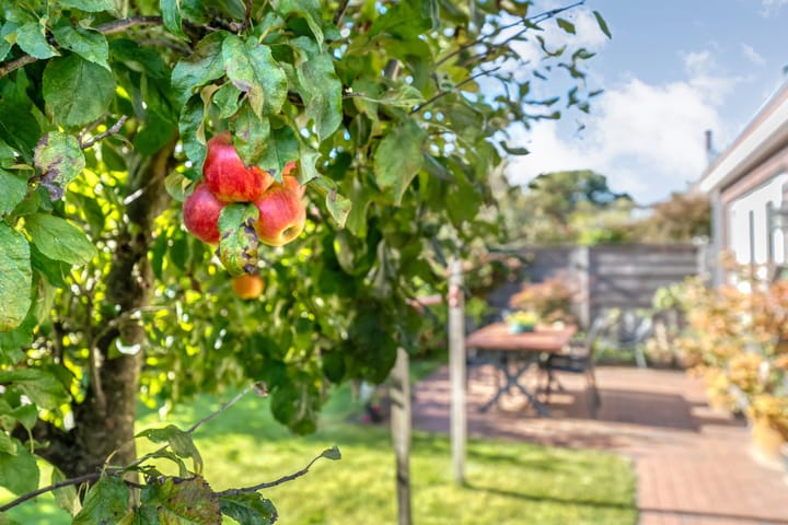 Photo 46 of Burgemeester Boldinghlaan 14