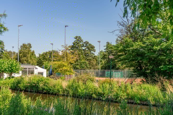 Foto 41 van Julianaplantsoen 317