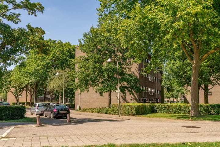 Foto 38 van Julianaplantsoen 317