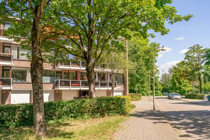 Photo 3 of Julianaplantsoen 317