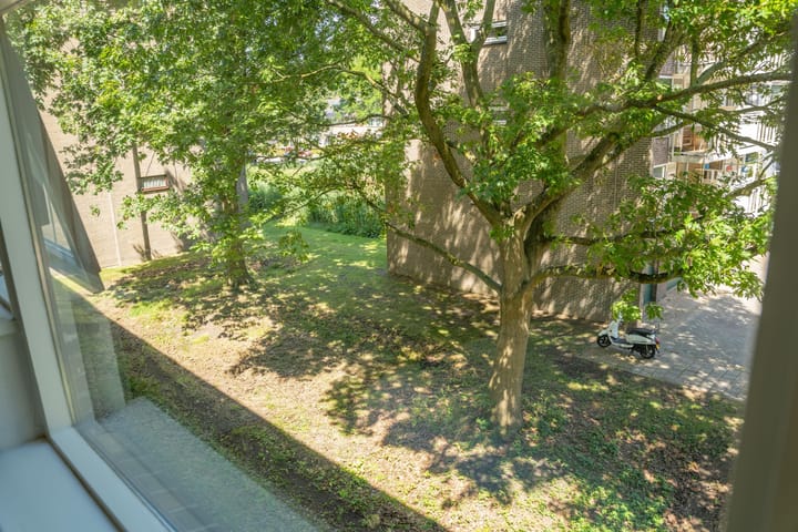 Foto 23 van Julianaplantsoen 317