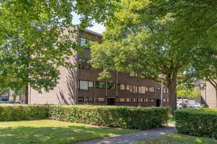 Foto 40 van Julianaplantsoen 317