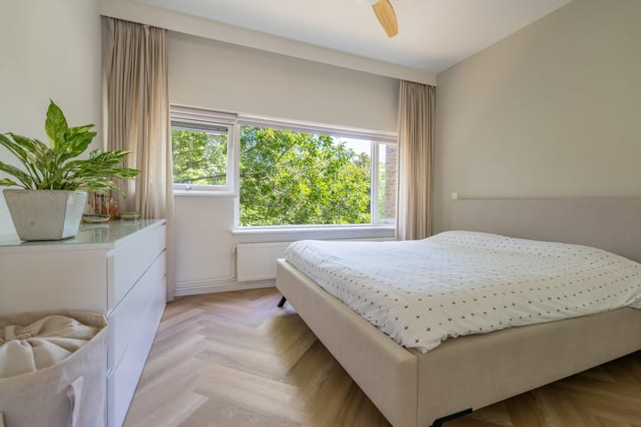 Foto 22 van Julianaplantsoen 317