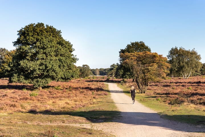 Foto 34 van Eemnesserweg 202