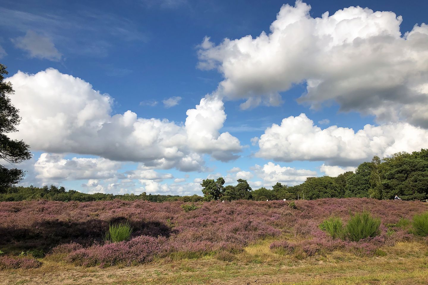 Foto 35 van Eemnesserweg 202