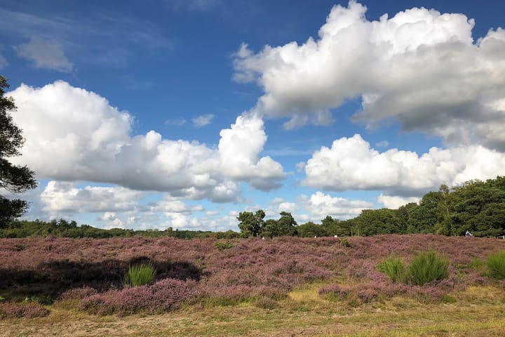 Foto 35 van Eemnesserweg 202