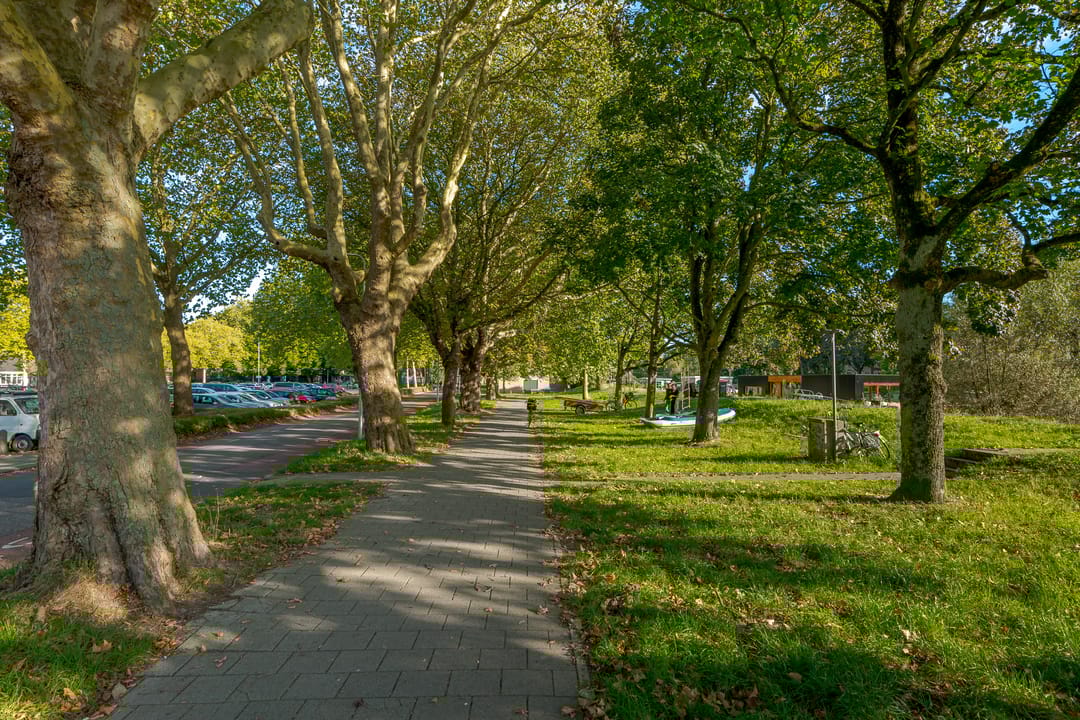 Foto 52 van Koewegje 11