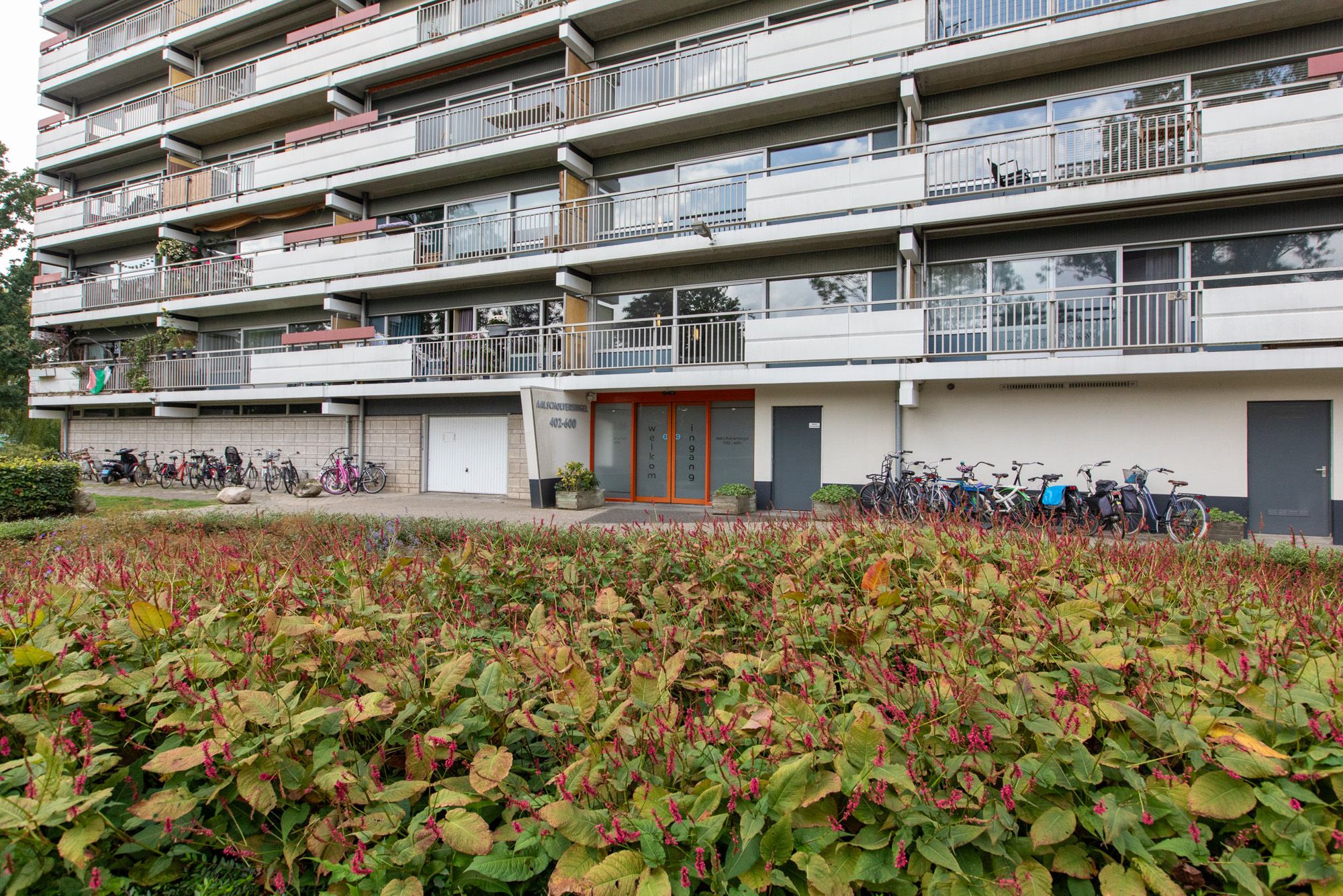 Foto 18 van Aalscholversingel 448