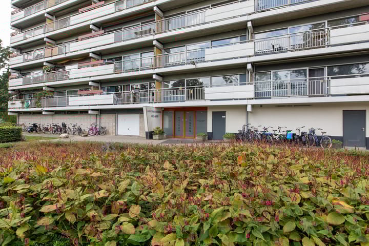 Photo 18 of Aalscholversingel 448