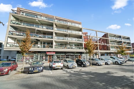 undefined main image