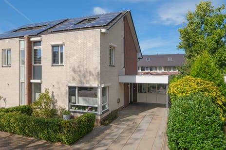 undefined main image