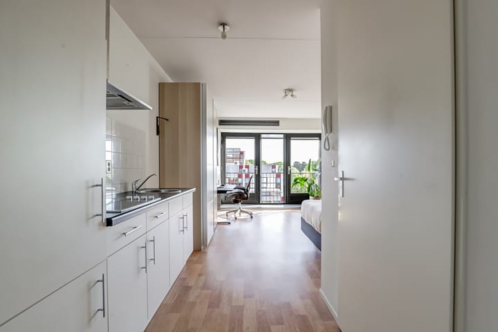 Foto 7 van Ina Boudier-Bakkerlaan 30-L