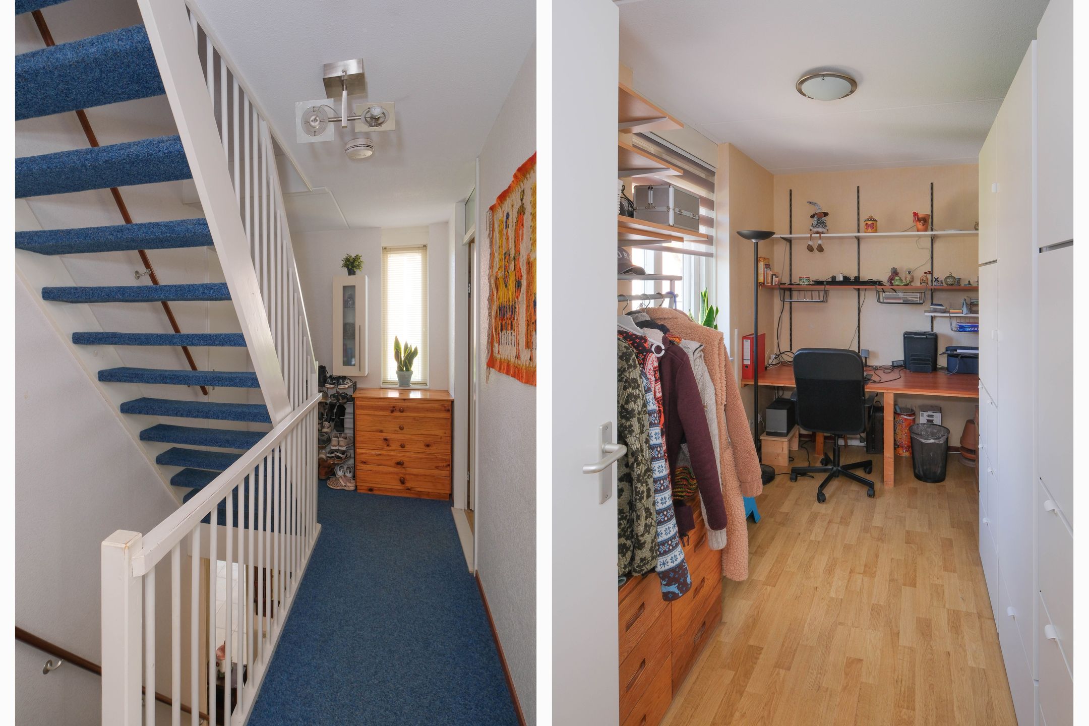 Foto 18 van Damast 5