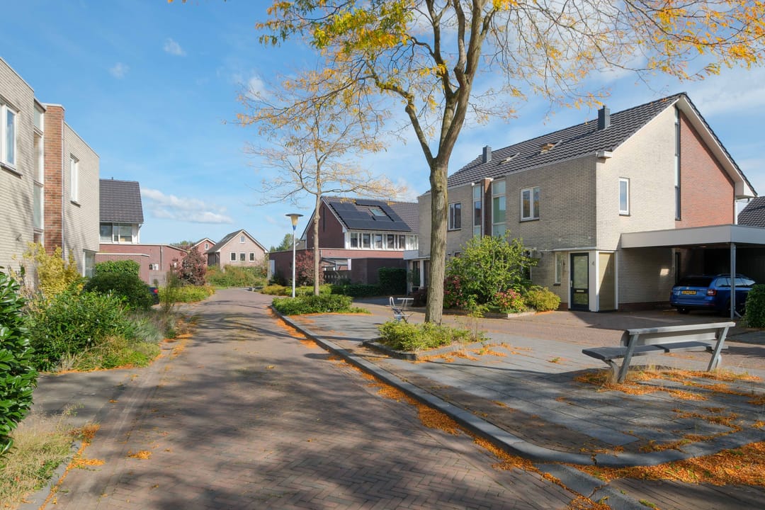 Foto 26 van Damast 5