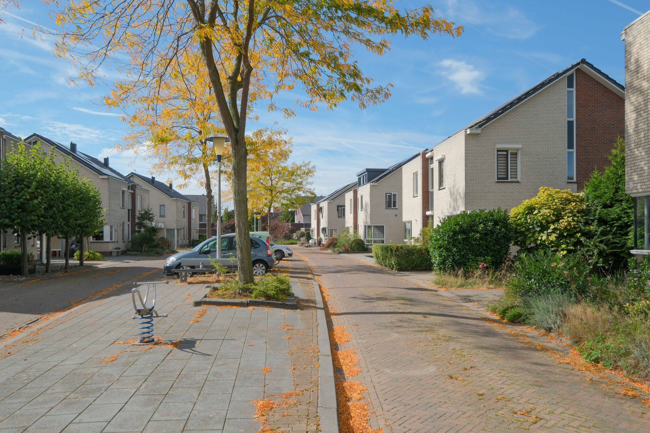 Foto 27 van Damast 5