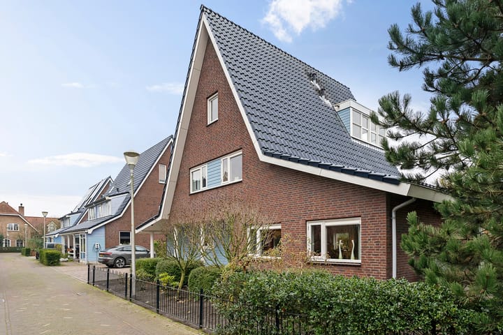 Photo 7 of Stippelzegge 3