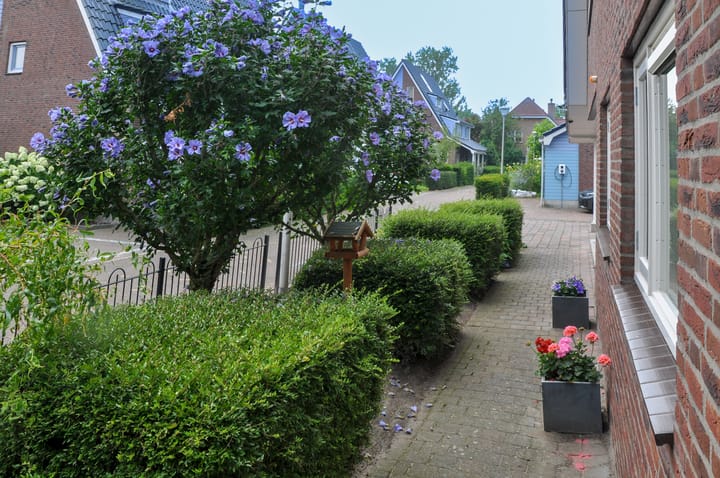 Photo 9 of Stippelzegge 3