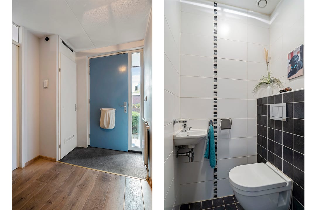 Foto 11 van Stippelzegge 3