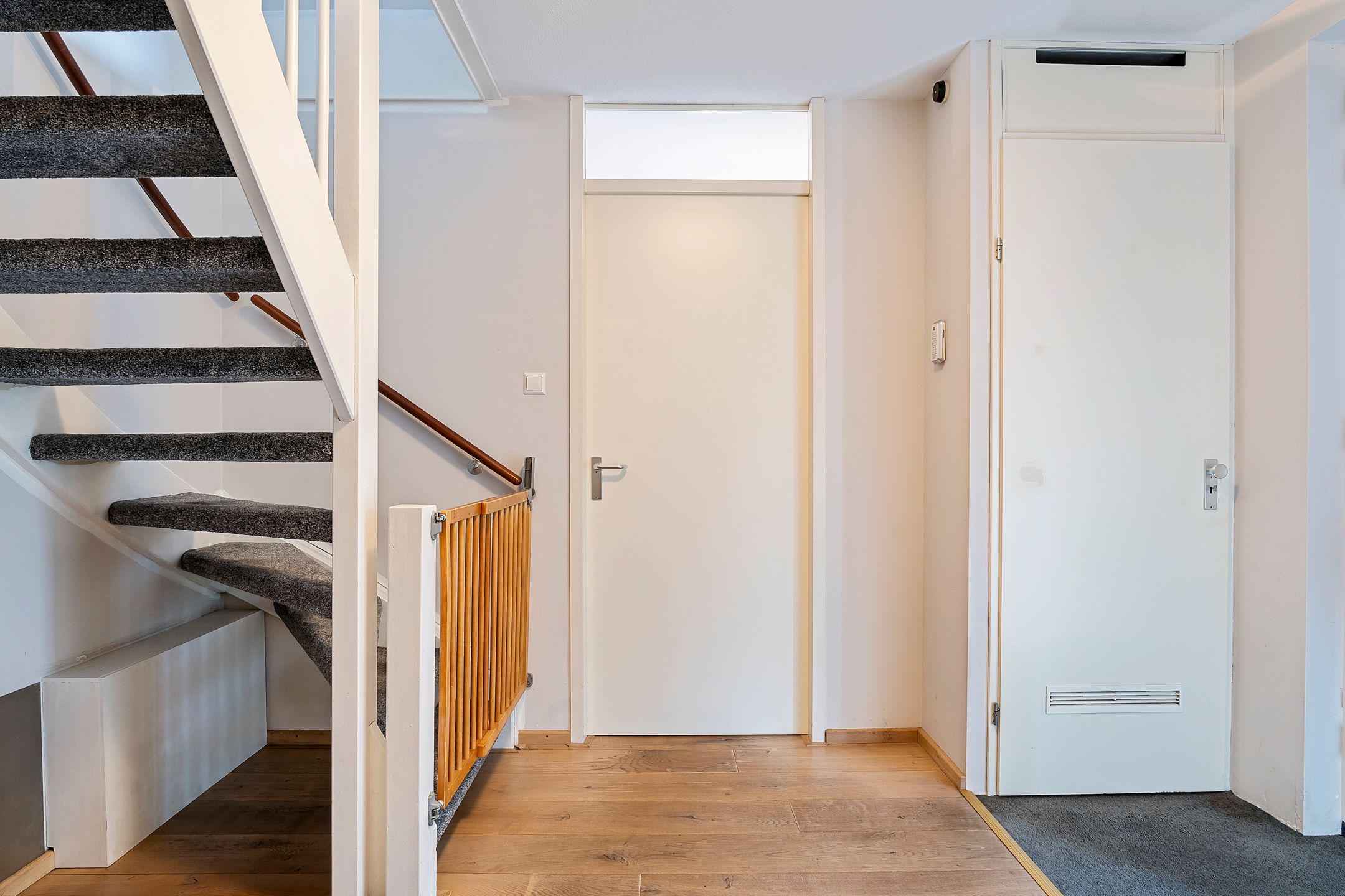 Foto 12 van Stippelzegge 3