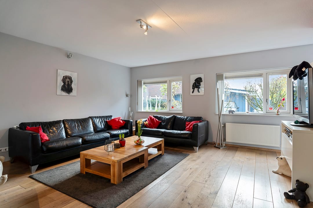 Foto 13 van Stippelzegge 3