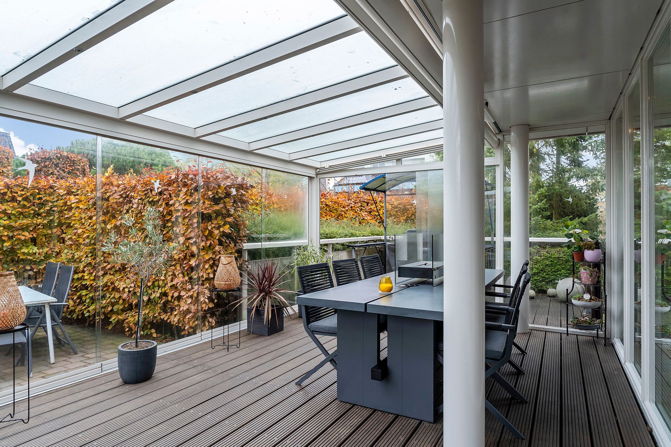 Foto 27 van Stippelzegge 3