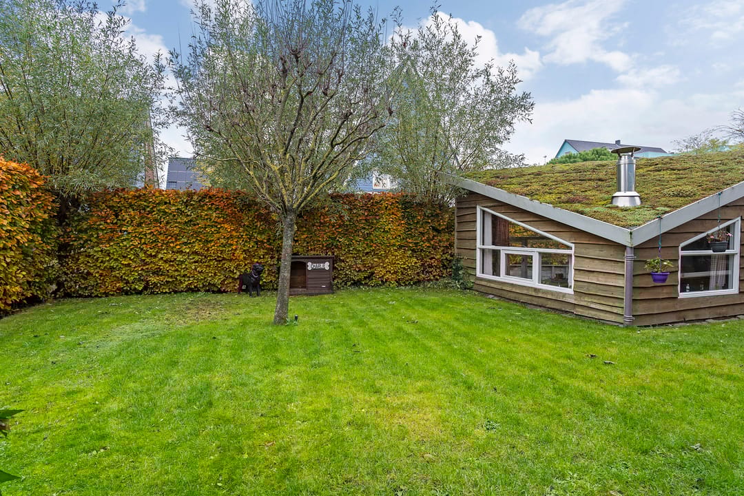 Foto 32 van Stippelzegge 3