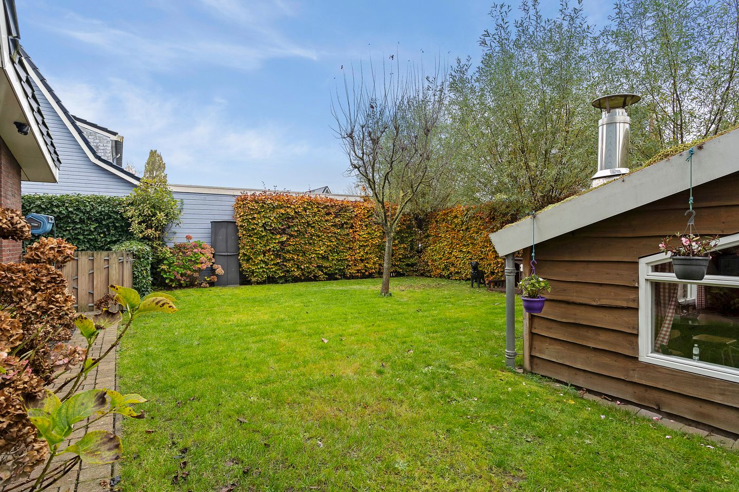 Foto 35 van Stippelzegge 3