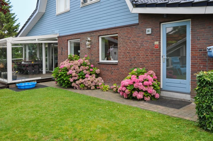 Photo 38 of Stippelzegge 3