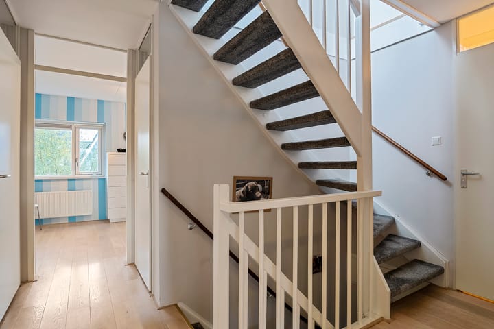 Photo 39 of Stippelzegge 3