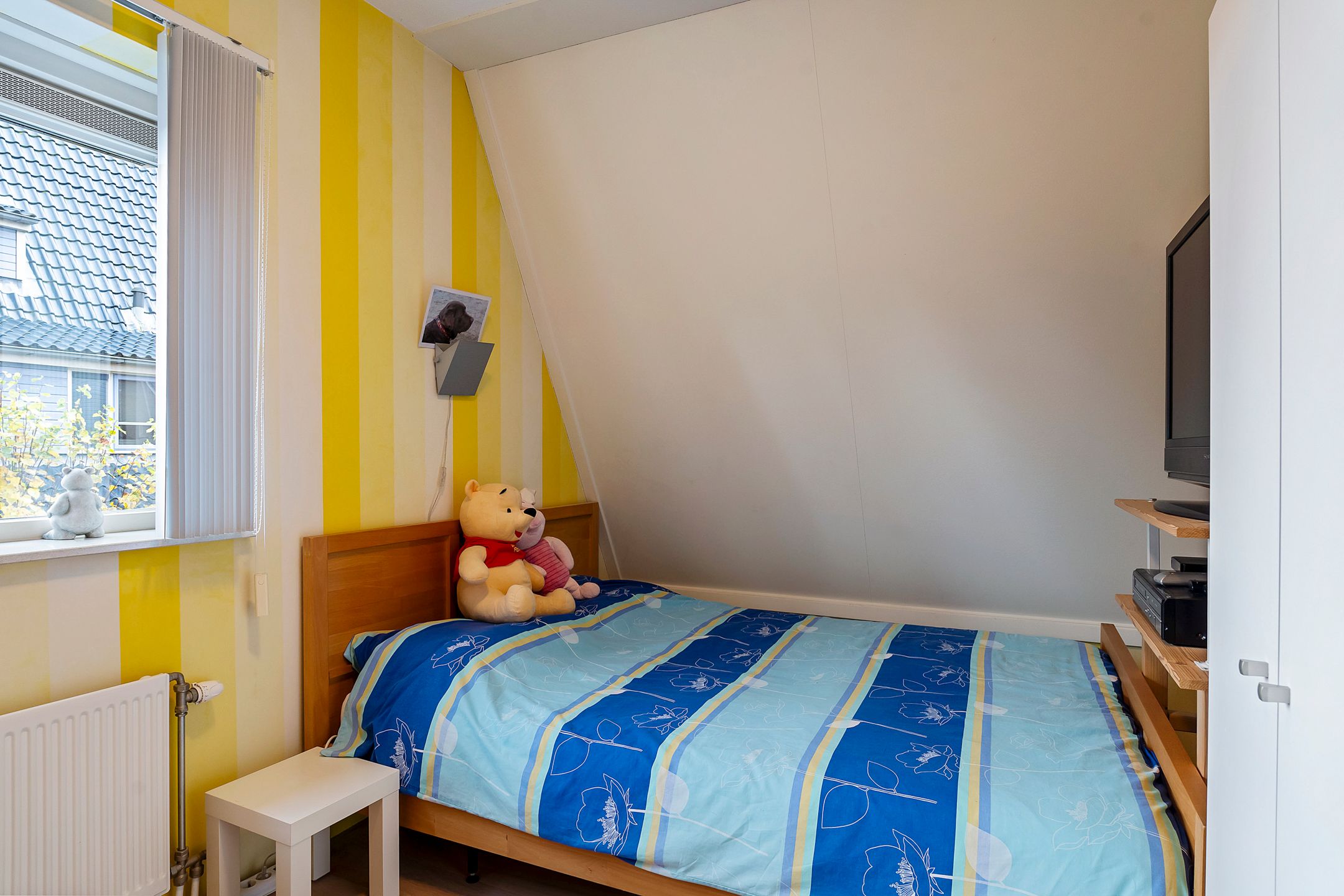 Foto 45 van Stippelzegge 3