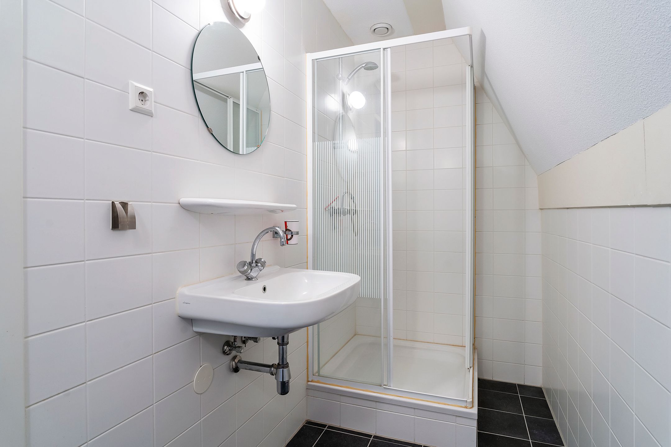 Foto 51 van Stippelzegge 3