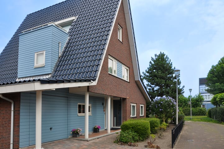 Photo 54 of Stippelzegge 3