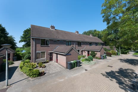 undefined main image