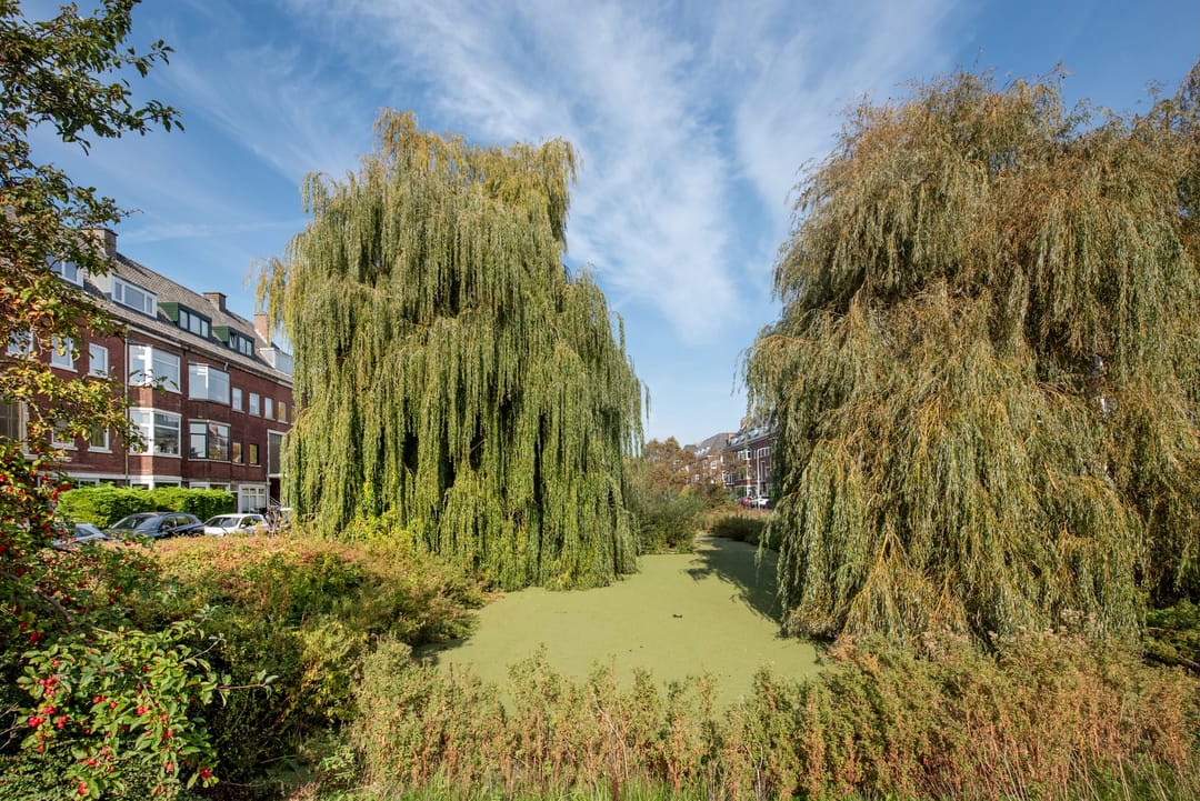 Foto 37 van Morelstraat 23