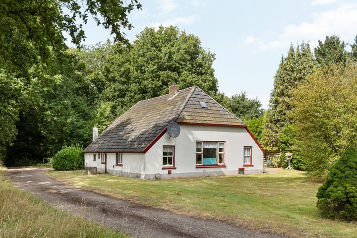 Bergweg 12 main image