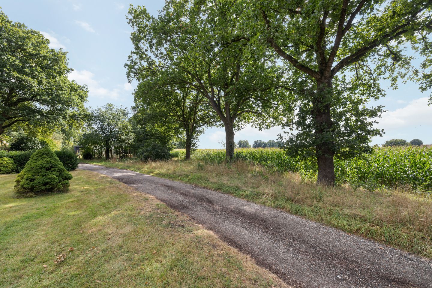 Foto 4 van Bergweg 12