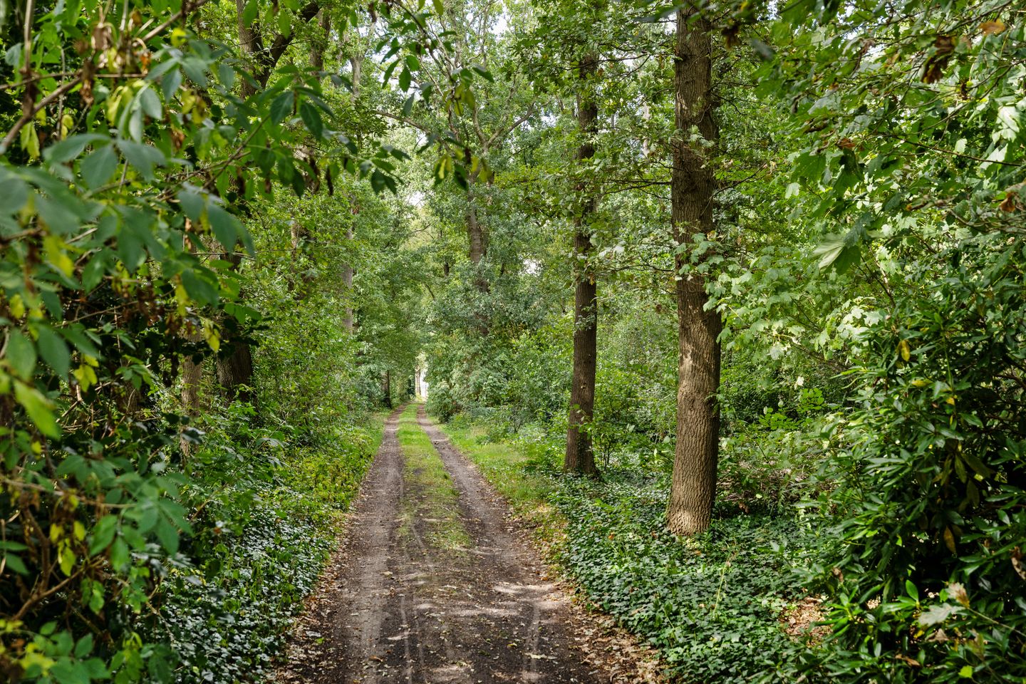 Foto 5 van Bergweg 12