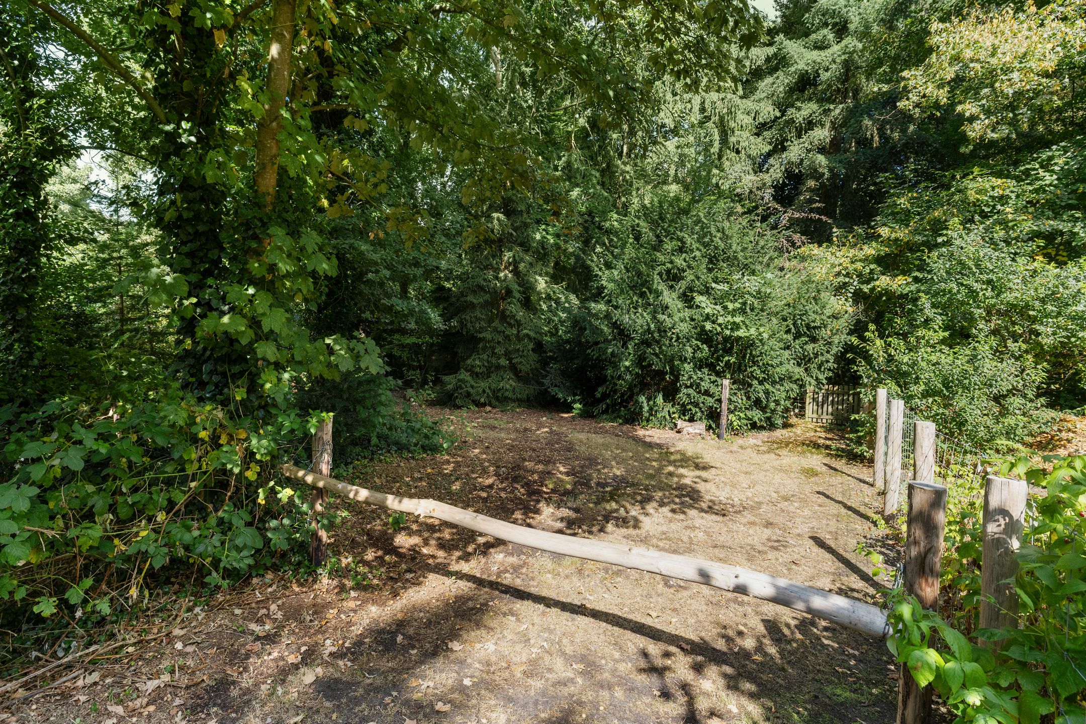 Foto 27 van Bergweg 12