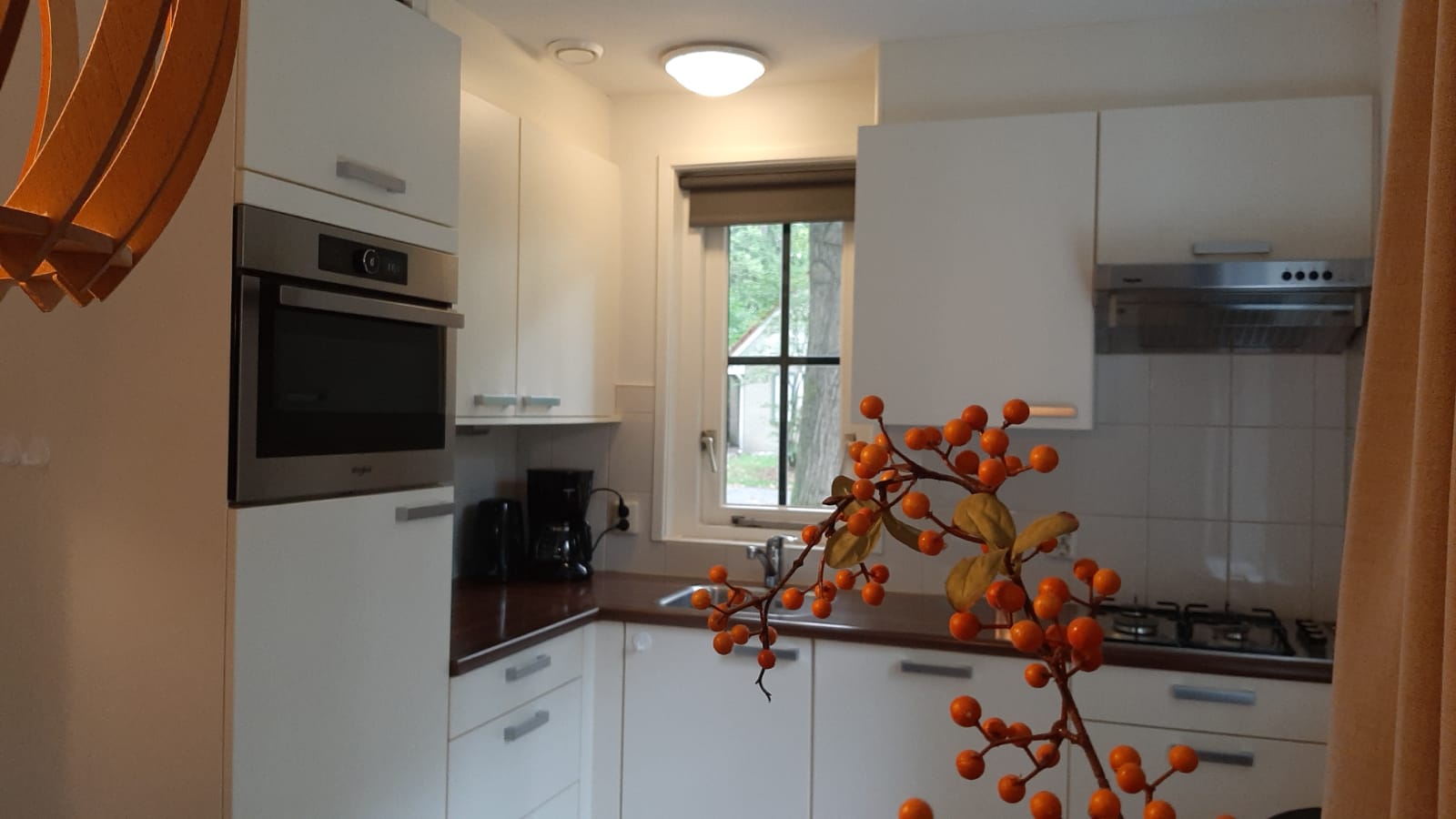 Foto 9 van Korhoen 12