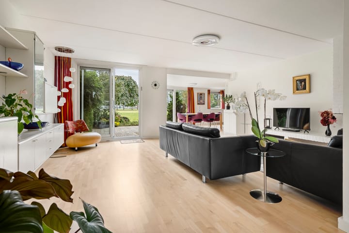 Foto 3 van De Nessermolen 74